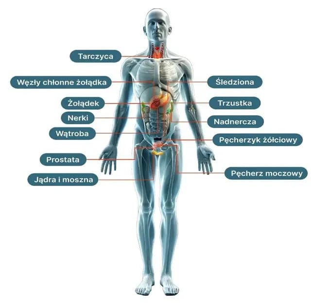 man-info