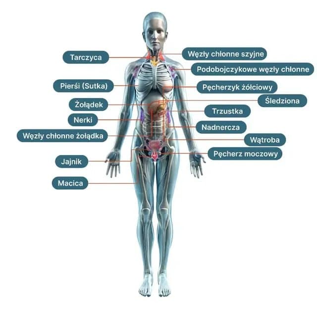 woman-info